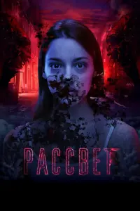 Смотреть  Рассвет  