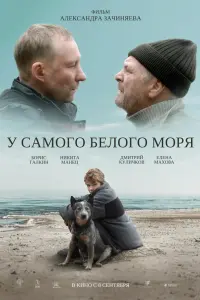 Смотреть  У самого Белого моря  