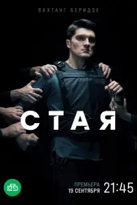 Стая смотреть онлайн в хорошем качестве