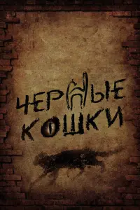 Смотреть  Черные кошки  