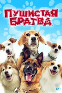  Пушистая братва  смотреть онлайн в хорошем качестве